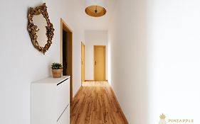 PINEAPPLE APARTMENTS - Dresden Zwinger - 55qm